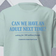 Can We Have an Adult Next Time? Political Humor T-Shirt
